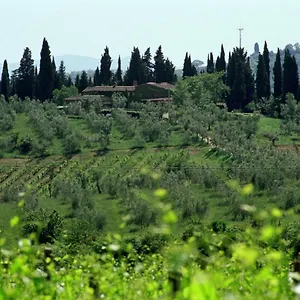 fattoria-casa-sola.it-tuscanyhotel.com/